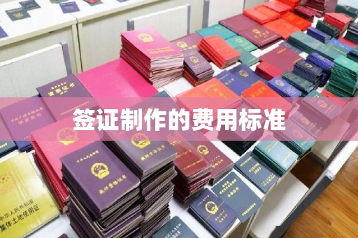 康马签证制作的费用标准